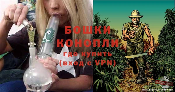 MESCALINE Аркадак