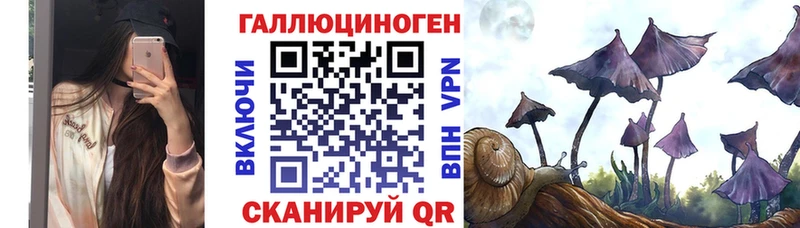 Галлюциногенные грибы Psilocybe  Усинск 